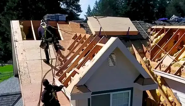 New Roof Installation service
